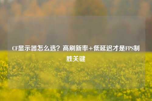 CF显示器怎么选?高刷新率+低延迟才是FPS制胜关键