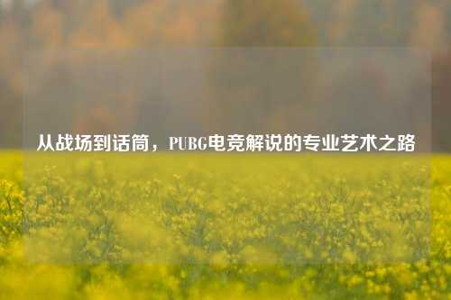 从战场到话筒，PUBG电竞解说的专业艺术之路
