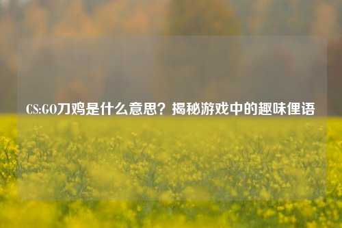 CS:GO刀鸡是什么意思?揭秘游戏中的趣味俚语