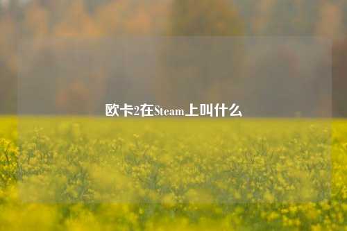 欧卡2在Steam上叫什么