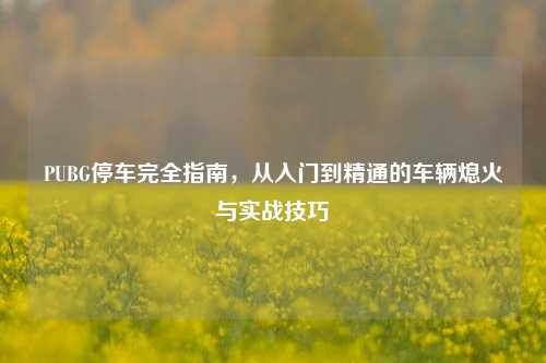 PUBG停车完全指南,从入门到精通的车辆熄火与实战技巧