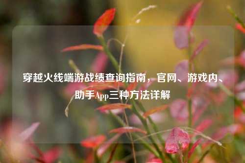 穿越火线端游战绩查询指南，官网、游戏内、助手App三种 *** 详解