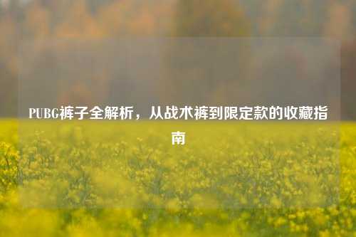 PUBG裤子全解析，从战术裤到限定款的收藏指南