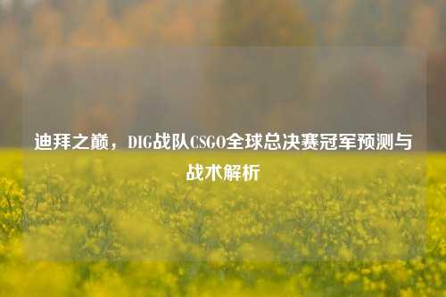 迪拜之巅,DIG战队CSGO全球总决赛冠军预测与战术解析