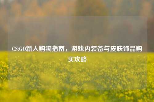 CS:GO新人购物指南，游戏内装备与皮肤饰品购买攻略