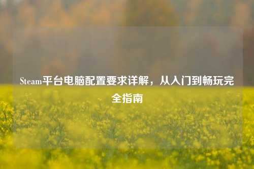 Steam平台电脑配置要求详解，从入门到畅玩完全指南