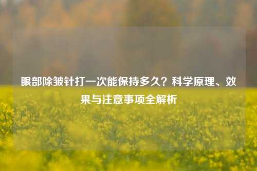 眼部除皱针打一次能保持多久？科学原理、效果与注意事项全解析
