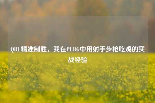 QBU精准制胜，我在PUBG中用射手步枪吃鸡的实战经验
