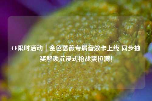 CF限时活动|金色蔷薇专属音效卡上线 同步抽奖解锁沉浸式枪战爽拉满!