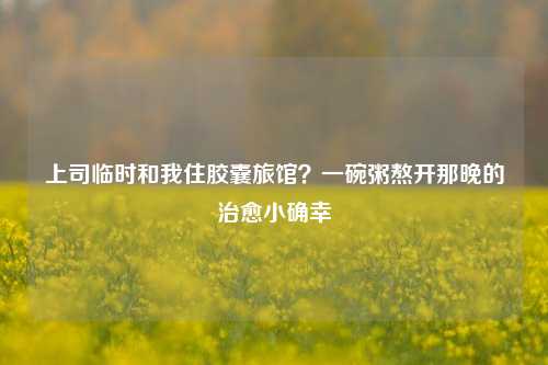 上司临时和我住胶囊旅馆?一碗粥熬开那晚的治愈小确幸