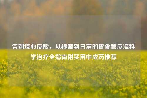 告别烧心反酸,从根源到日常的胃食管反流科学治疗全指南附实用中成药推荐