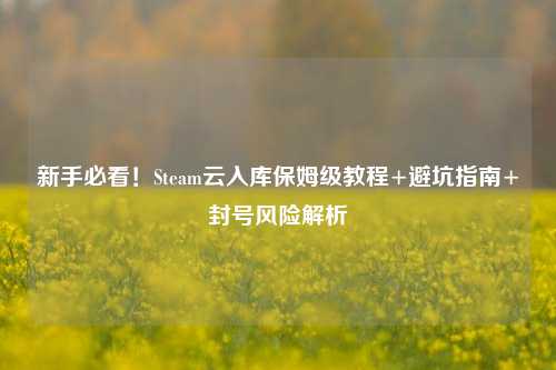 新手必看！Steam云入库保姆级教程+避坑指南+封号风险解析