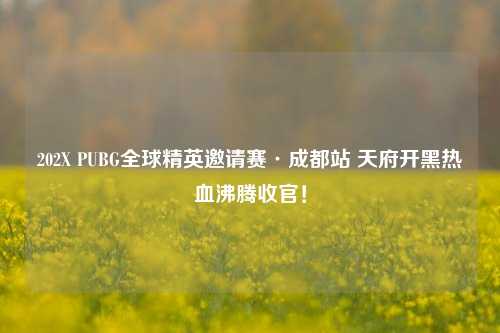 202X PUBG全球精英邀请赛·成都站 天府开黑热血沸腾收官！