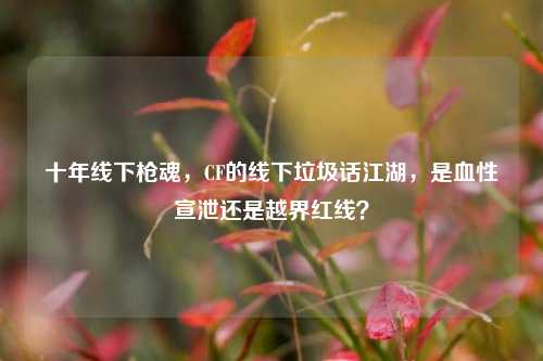 十年线下枪魂，CF的线下垃圾话江湖，是血性宣泄还是越界红线？