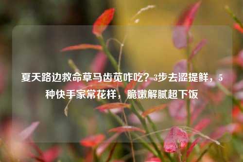 夏天路边救命草马齿苋咋吃？3步去涩提鲜，5种快手家常花样，脆嫩解腻超下饭