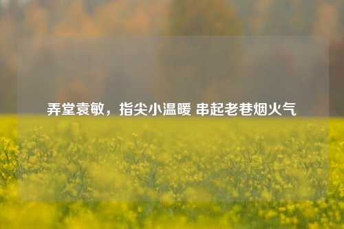 弄堂袁敏，指尖小温暖 串起老巷烟火气