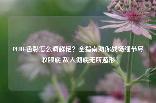 PUBG色彩怎么调鲜艳？全指南助你战场细节尽收眼底 敌人彻底无所遁形