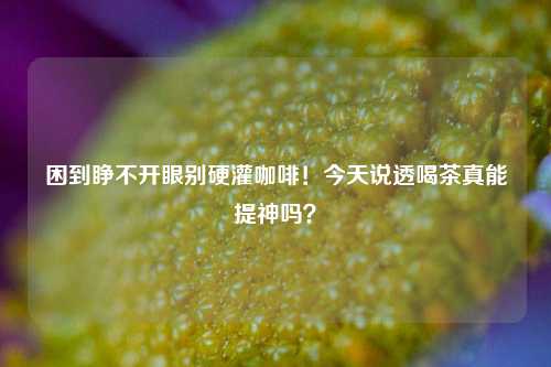 困到睁不开眼别硬灌咖啡！今天说透喝茶真能提神吗？