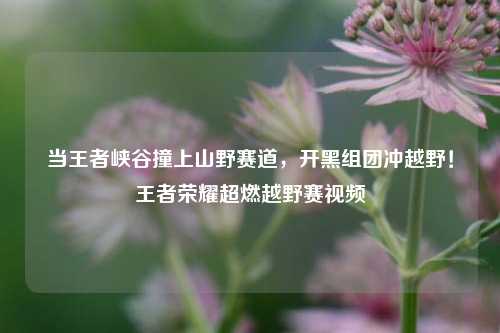 当王者峡谷撞上山野赛道，开黑组团冲越野！王者荣耀超燃越野赛视频