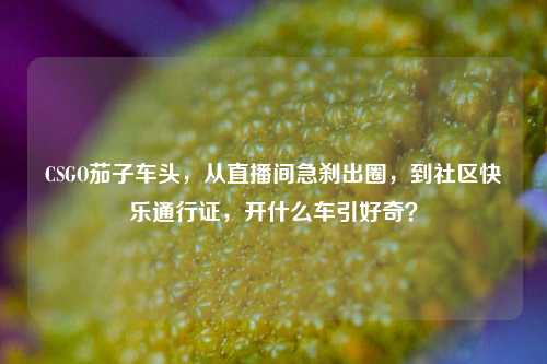 CSGO茄子车头，从直播间急刹出圈，到社区快乐通行证，开什么车引好奇？