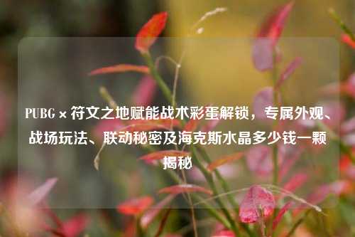 PUBG×符文之地赋能战术彩蛋解锁，专属外观、战场玩法、联动秘密及海克斯水晶多少钱一颗揭秘