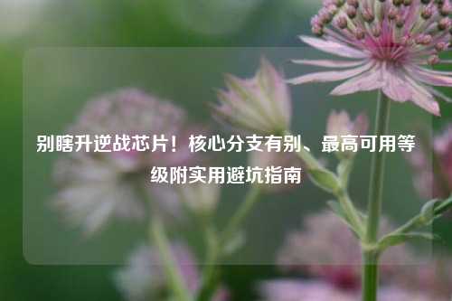 别瞎升逆战芯片！核心分支有别、更高可用等级附实用避坑指南