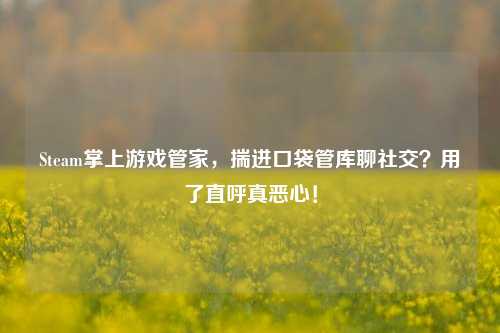 Steam掌上游戏管家，揣进口袋管库聊社交？用了直呼真恶心！
