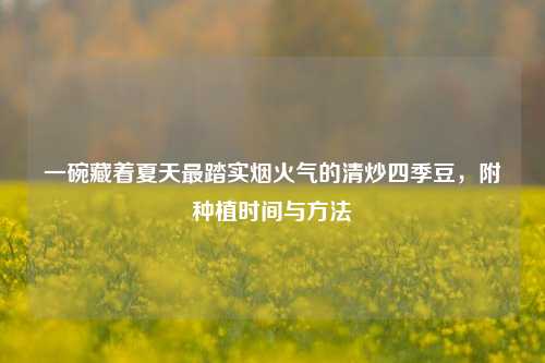 一碗藏着夏天最踏实烟火气的清炒四季豆，附种植时间与 *** 