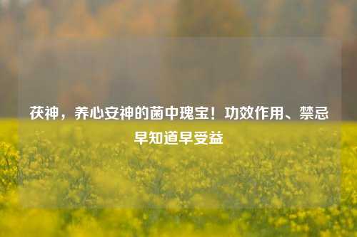 茯神,养心安神的菌中瑰宝!功效作用、禁忌早知道早受益