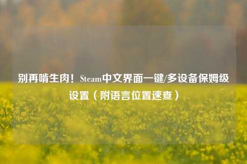 别再啃生肉！Steam中文界面一键/多设备保姆级设置（附语言位置速查）