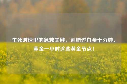 生死时速里的急救关键,别错过白金十分钟、黄金一小时这些黄金节点!