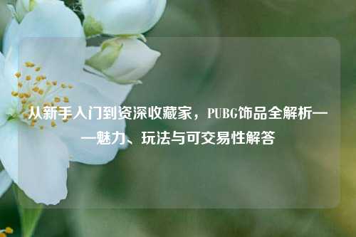 从新手入门到资深收藏家，PUBG饰品全解析——魅力、玩法与可交易性解答