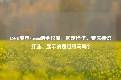 CSGO显示Steam组全攻略,绑定操作、专属标识打造、显示的是组缩写吗?