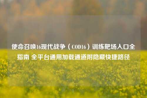使命召唤16现代战争(COD16)训练靶场入口全指南 全平台通用加载通道附隐藏快捷路径