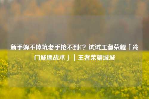 新手躲不掉坑老手抢不到C?试试王者荣耀「冷门城墙战术」|王者荣耀城城