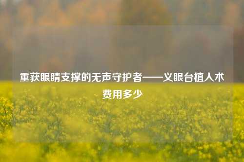 重获眼睛支撑的无声守护者——义眼台植入术费用多少