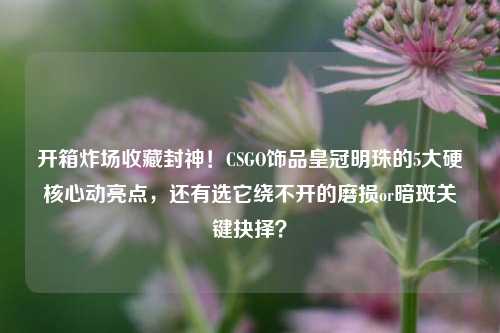 开箱炸场收藏封神!CSGO饰品皇冠明珠的5大硬核心动亮点,还有选它绕不开的磨损or暗斑关键抉择?
