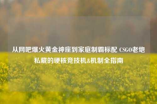 从网吧爆火黄金神座到家庭制霸标配 CSGO老炮私藏的硬核竞技机&机制全指南