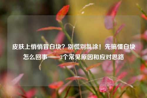 皮肤上悄悄冒白块?别慌别乱涂!先搞懂白块怎么回事——3个常见原因和应对思路