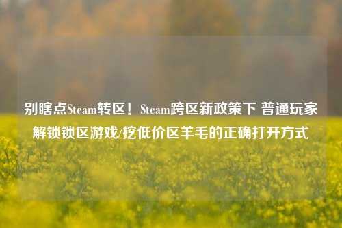 别瞎点Steam转区！Steam跨区新政策下 普通玩家解锁锁区游戏/挖低价区羊毛的正确打开方式