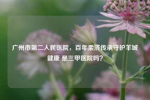 广州市第二人民医院,百年柔济传承守护羊城健康 是三甲医院吗?