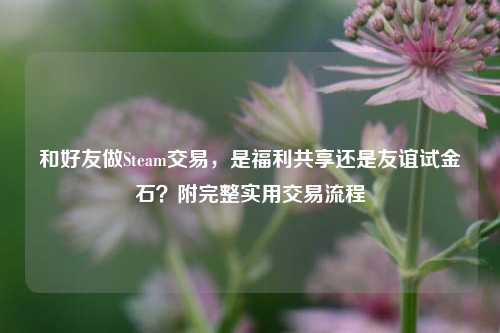 和好友做Steam交易,是福利共享还是友谊试金石?附完整实用交易流程