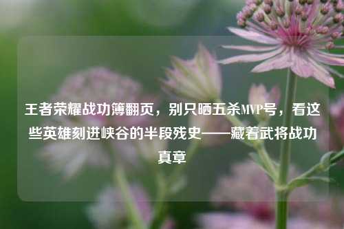 王者荣耀战功簿翻页，别只晒五杀MVP号，看这些英雄刻进峡谷的半段残史——藏着武将战功真章