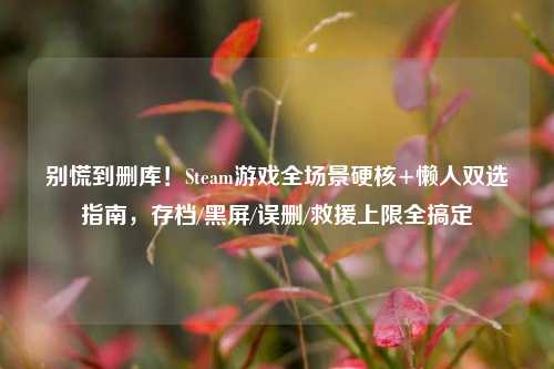 别慌到删库!Steam游戏全场景硬核+懒人双选指南,存档/黑屏/误删/救援上限全搞定