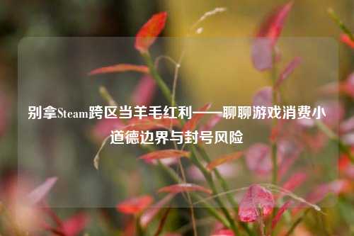 别拿Steam跨区当羊毛红利——聊聊游戏消费小道德边界与封号风险