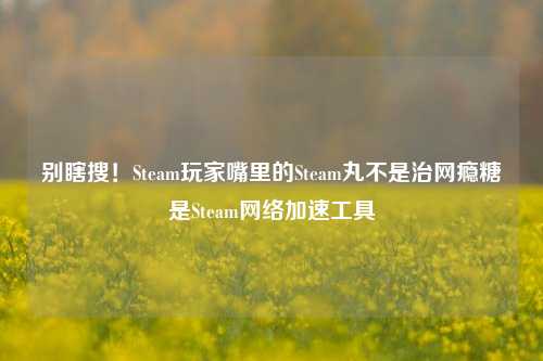 别瞎搜！Steam玩家嘴里的Steam丸不是治网瘾糖是Steam *** 加速工具
