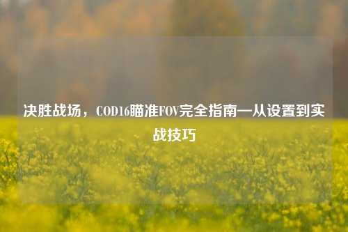 决胜战场，COD16瞄准FOV完全指南—从设置到实战技巧