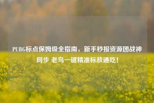 PUBG标点保姆级全指南，新手秒报资源团战神同步 老鸟一键精准标敌通吃！