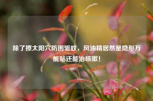除了擦太阳穴防困驱蚊，风油精居然是隐形万能贴还能治咳嗽！