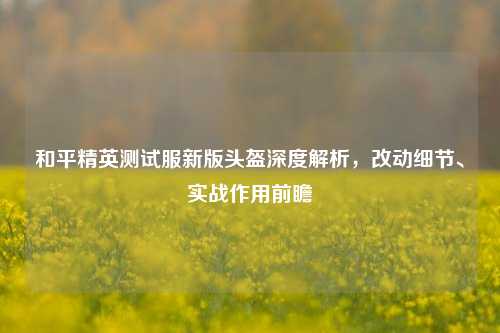 和平精英测试服新版头盔深度解析，改动细节、实战作用前瞻